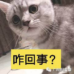 男子科目一考試作弊被抓現行 場面有點辣眼睛……